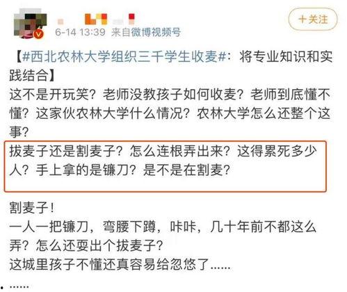 西北农林爆料事件最新消息,最新进展及影响揭秘”